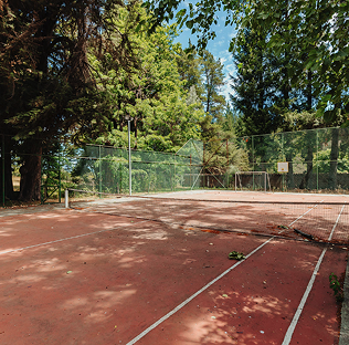Tenis