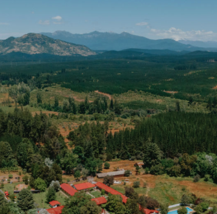 Trekking por bosques y jardines
