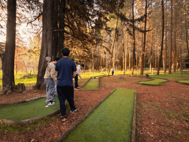 Mini golf