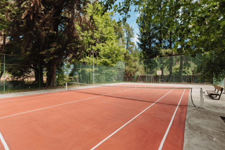Tenis
